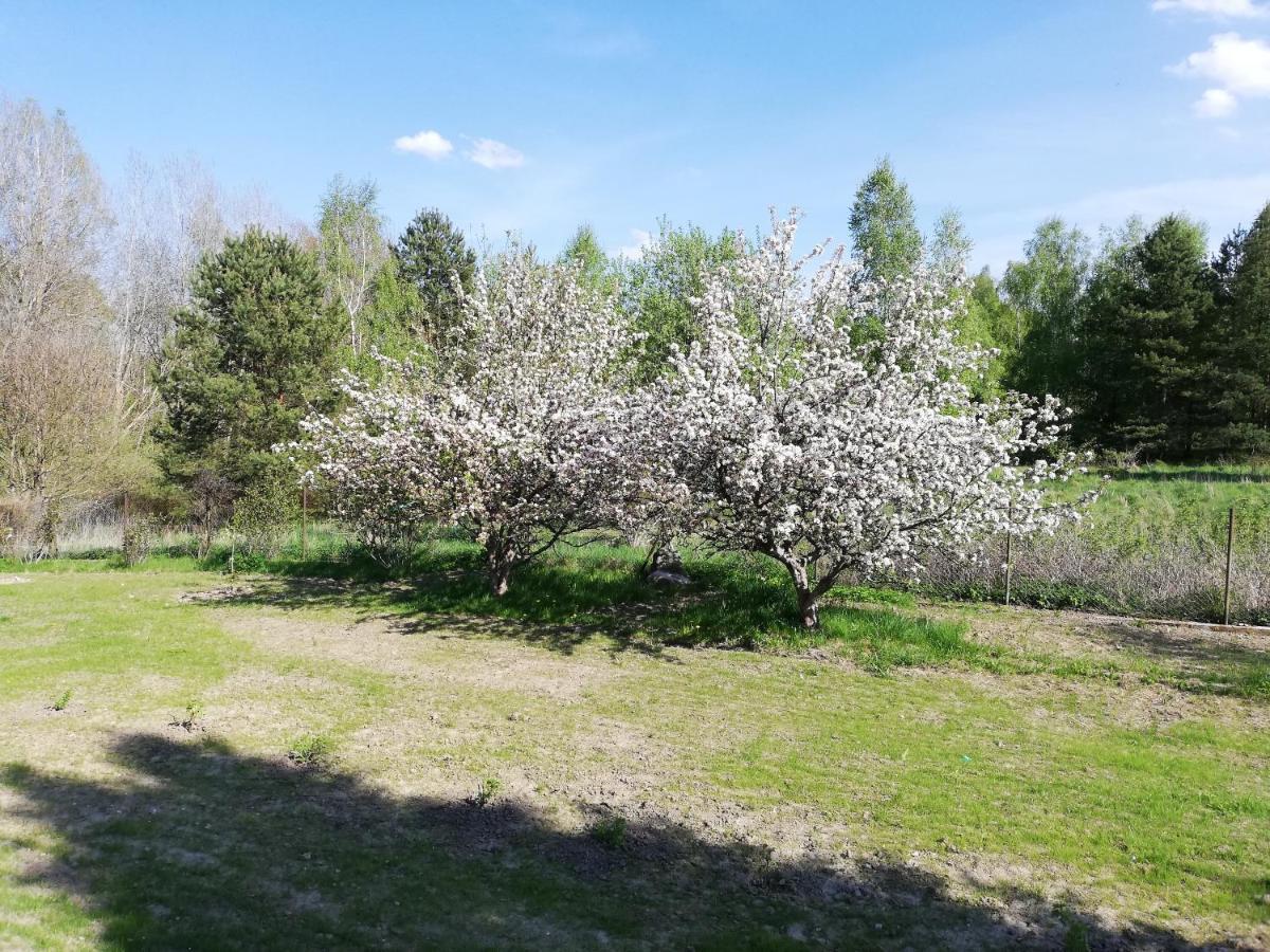Przystanek Kozia Gora Apartman Kültér fotó